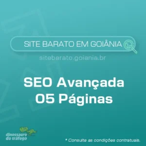 Imagem Plano SEO para Site Institucional 05 Páginas - Site barato em Goiânia